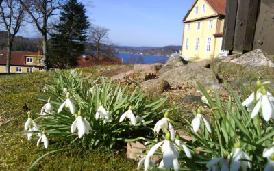 Öppet hus på folkhögskolan 12 mars